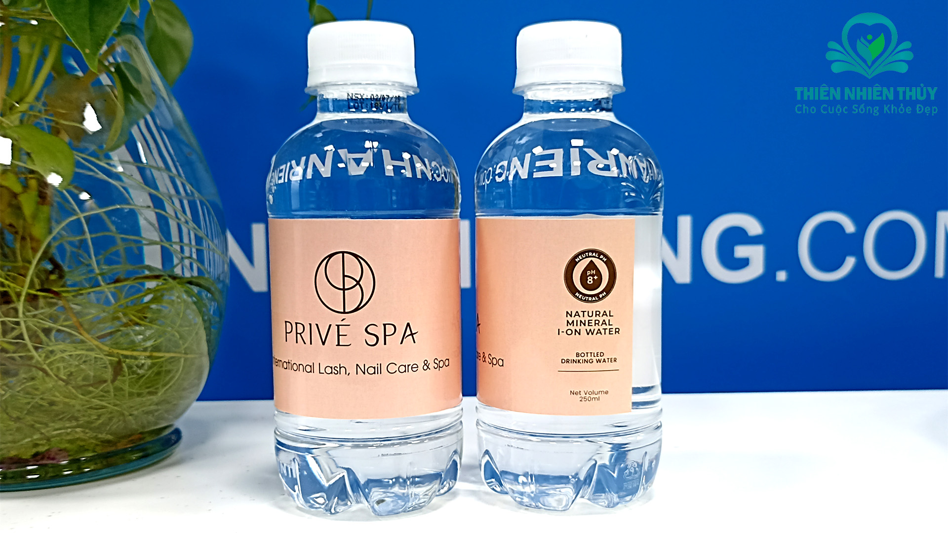 Privé Spa Sử Dụng Nước Có Logo Riêng: Chiến Lược Thương Hiệu Cao Cấp Trong Ngành Spa